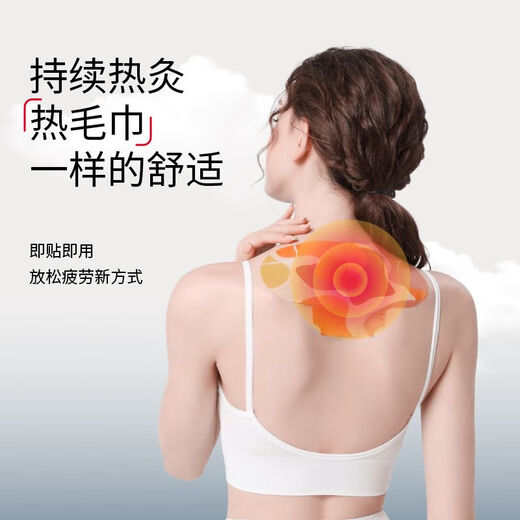 元气地带蕲艾艾草贴5片/盒腰椎颈部全身贴肩颈艾草精油蒸汽热敷发热贴1盒