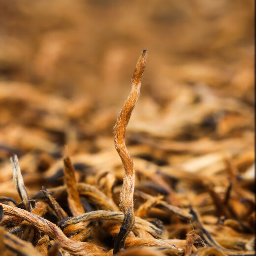 一杯香茶叶红茶头芽金骏眉特级武夷山250g礼盒装2025新茶散装自己喝送礼