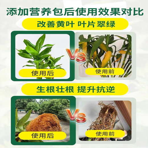 艾尚棵富贵竹营养液黄叶土培水养水培绿植物专用通的营养液花肥料怎么用 买2 送1【发3瓶】