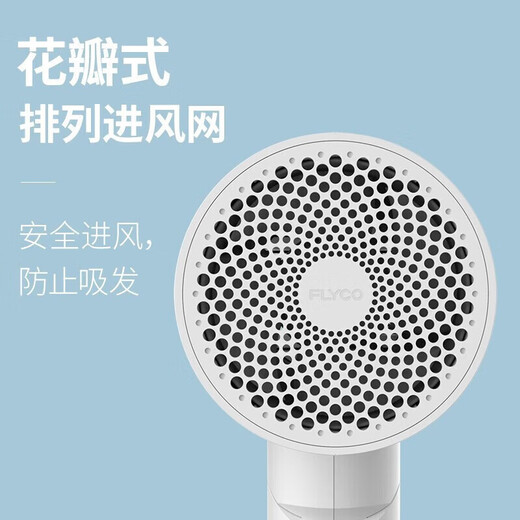 FLYCO Portable Hair Dryer Negative Ion Household High Power Deep Hair Hair Dryer Quick Drying Foldable Birthday Gift for Girlfriend FH6276 Milky White + Storage Bag