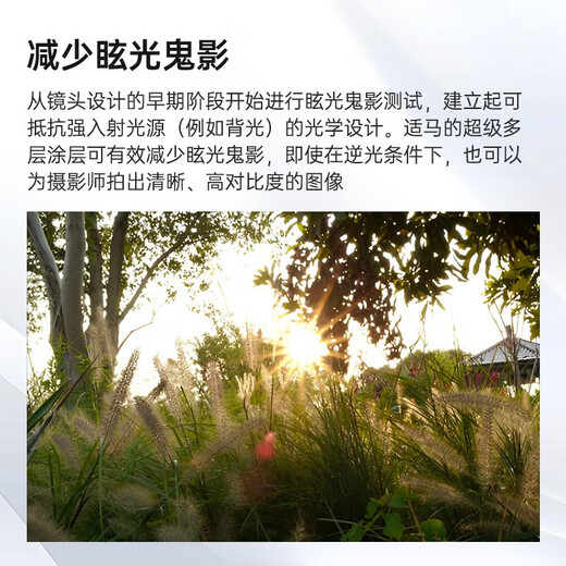 SIGMA 18-50mm F2.8 DC DN Contemporary half-frame large aperture mirrorless zoom lens for humanistic landscape photography Canon RF mount official standard (with main picture as a bonus)