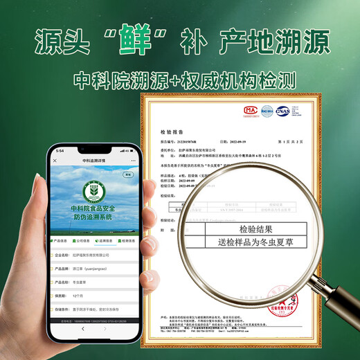 
Fresh Cordyceps sinensis Yuanjiang grass, 2025 first stubble Cordyceps 1.0~1.1g/root 50 roots, direct and cold transportation from the source