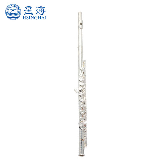 星海长笛镀银C调16键闭孔 E键长笛初学 专业院校考级乐器 16孔C调镀银【E-121】