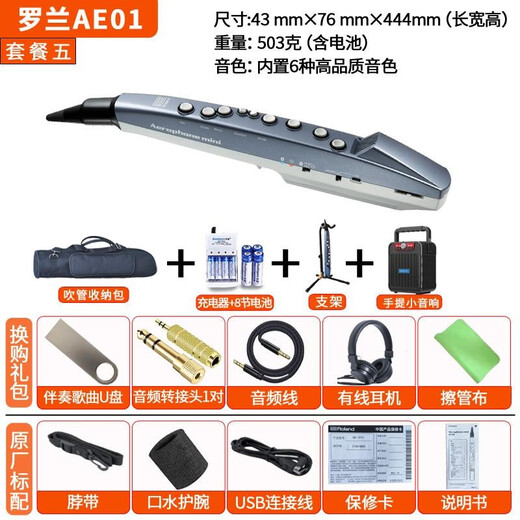 贤怀达正品日本品牌Roland罗兰AE-01电吹管老人电萨克斯电子乐器二胡AE0 罗兰AE-01C民族版(套餐五)