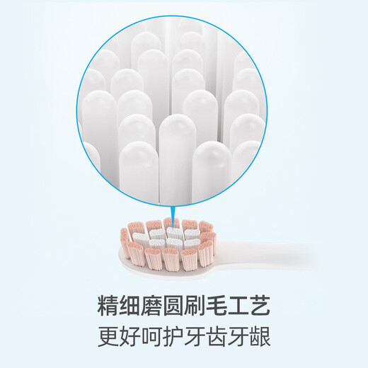 FLYCO electric toothbrush head compatible with model FT7105/FT7106/FT7205 TH01 romantic powder 1 pack