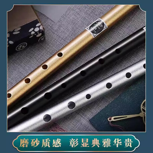 皇仕爱尔兰哨笛初学者入门金属笛子6孔C调D调高低音直笛课堂竖笛乐器 6孔哨笛合金材质D调【优雅银】