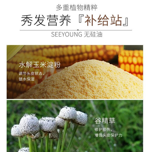 Rébarrant de shampooing sans silicone ziyuan en silicone et aux pellicules Contrôle de contrôle de l'huile longue duré