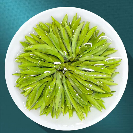 Qiu Boyuan Anhui Tongcheng Xiaohua 2024 New Tea Anqing Specialty Mingqian Alpine Touya Tea Gift Box Maofeng 250g