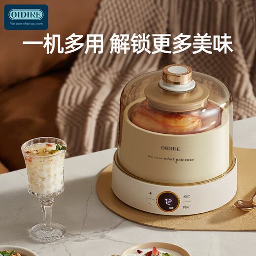 OIDIRE酸奶机 家用小型全自动酸奶机多功能智能可定时酸奶机1L大容量四大功能酸奶纳豆米酒泡菜都可做 ODI-SA23玻璃款【不带分杯】