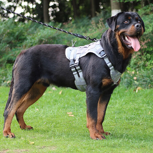 Super durable extended dog leash night reflective round rope 20 meters 30 meters Teddy Shiba Inu Golden Retriever Corgi dog rope horse rope black 10 meters (for large dogs)