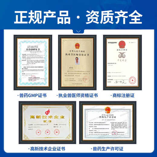 Zhonglong Shenli Astragalus Polysaccharide Veterinary Chicken, Duck and Goose Electrolytic Multidimensional Pig, Cattle and Sheep Trace Element Feed Additive Special for Chickens 70% Astragalus Polysaccharide 1 bag