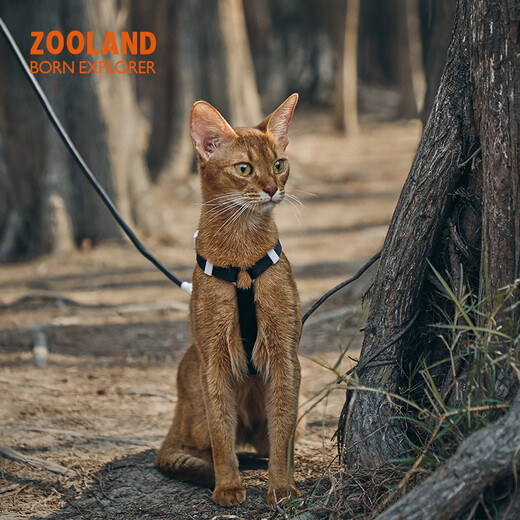 ZOOLAND cat traction rope to prevent break-away, walk large and small kittens, good-looking, lengthened, adjustable I-shaped chest and back, red tea orange L-recommended 5-16 Jin Jin equals 0.5 kg