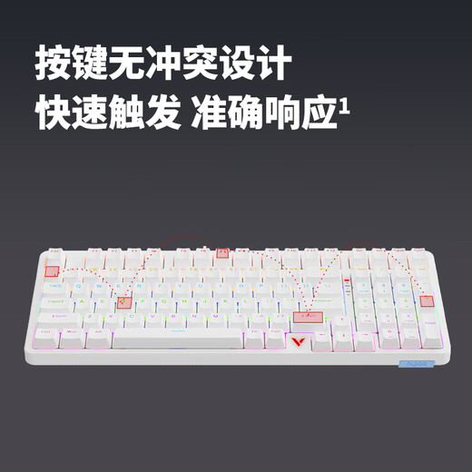 Rapoo V500PRO-98 upgraded model 98-key wired backlit mechanical keyboard cool RGB side light gaming e-sports chicken office full-key non-gush programmable keyboard black axis