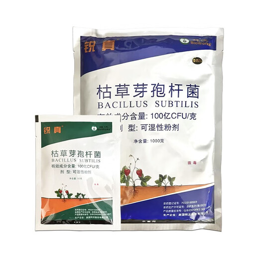 Baiwo Baiwo Ruizhen Bacillus subtilis ginseng blight strawberry powdery mildew soil-borne root disease fungicide 50g