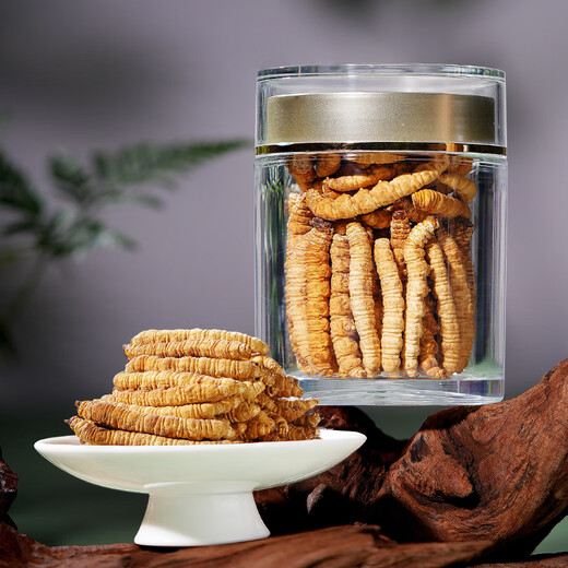Zangxitang cordycepss sinensis Большой фестиваль чистого мяса.