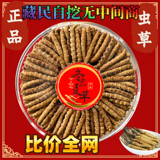 200/100/50/30 cajas de regalo para ancianos 0.5 gramos cada cordyceps de primera etapa de alta calidad 0.5 gramos cada cordiceps de alta calidad Nagqu, Tibet 100 Cordyceps de alta calidad