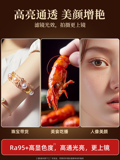 Lumière de remplissage de machine, photographie de diffusion en direct, lumière de photographie, éclairage de prise de vue professionnel d'ancre, plafonnier à lumière douce LED, prise de vue vidéo intérieure, lumière de visage de beauté selfie, lumière de salle de diffusion en direct de bijoux gastronomiques, acheter 11950 lumière blanche double lumière, lumière douce haute luminosité, photographie de selfie