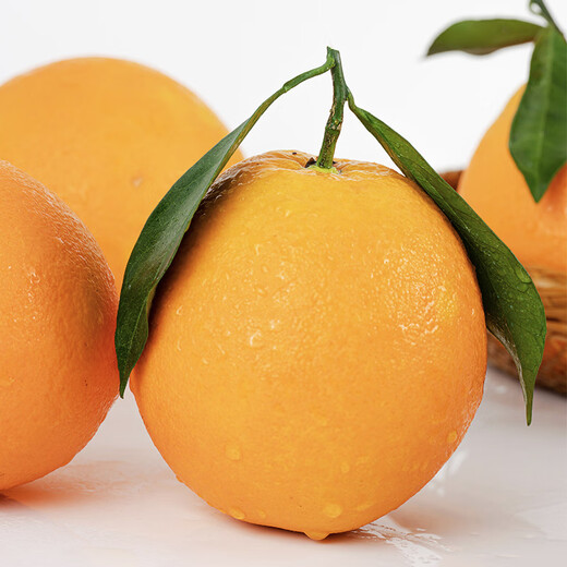 京鲜生 江西赣南脐橙 净重4.5斤装 单果150g起 生鲜水果 源头直发包邮