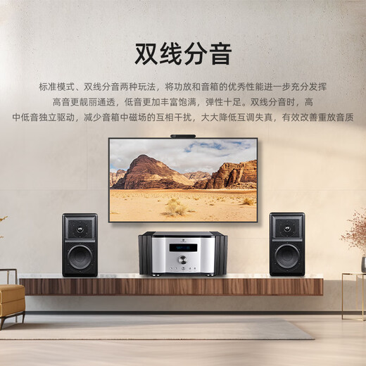 天逸（Winner）AD-3PRO+甲类合并式功放音响套装家用HiFi功放机大功率发烧级全平衡音频解码 AD-3PRO+