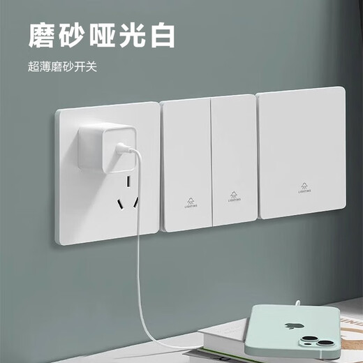 TEP International Electrician 86 concealed switch socket household large board skin-feel five-hole USB charging socket dual-control multi-control switch panel five-hole (10A) socket