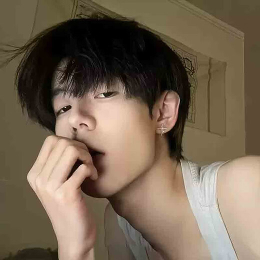 Free Talk Star Earrings Men's Trendy High-end Men's Earrings Single Handsome Cross Boy Ear Jewelry for Your Boyfriend Single