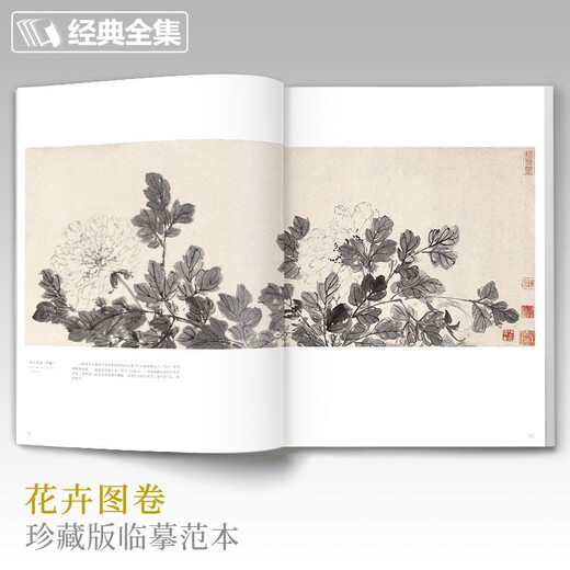 Complete collection of classics, Chen Chun's painting collection, 8-page Chinese painting copy album, freehand ink and wash traditional Chinese painting, flower, bird, fish, insect, landscape, animal technique textbook, high-definition copy album, appreciation of masterpieces of flowers and birds, edited by Yang Jianfei
