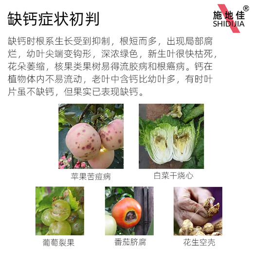 Shidijia aminoácido azúcar alcohol doble quelado fertilizante alto en calcio fertilizante foliar árbol frutal agrícola fertilizante de barril vegetal elemento medio fertilizante soluble en agua aminoácido calcio 10 kg * 1 barril