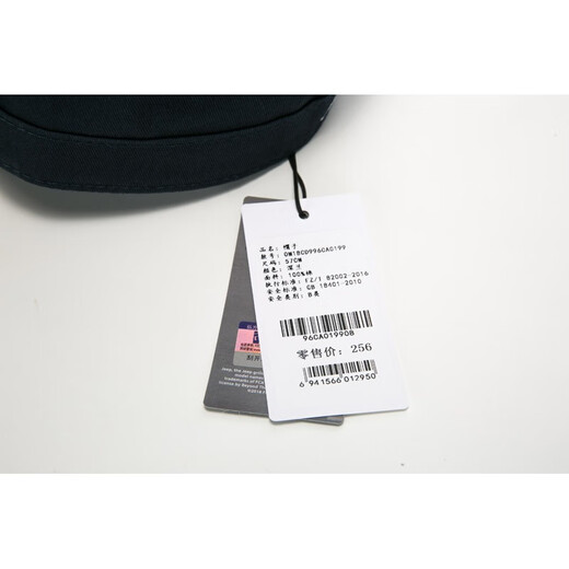 Jeep Hat Men's Fully Sealed Flat Cap Outdoor Leisure Hat Winter Solid Color Embroidered Peaked Cap Black L (56-58CM)