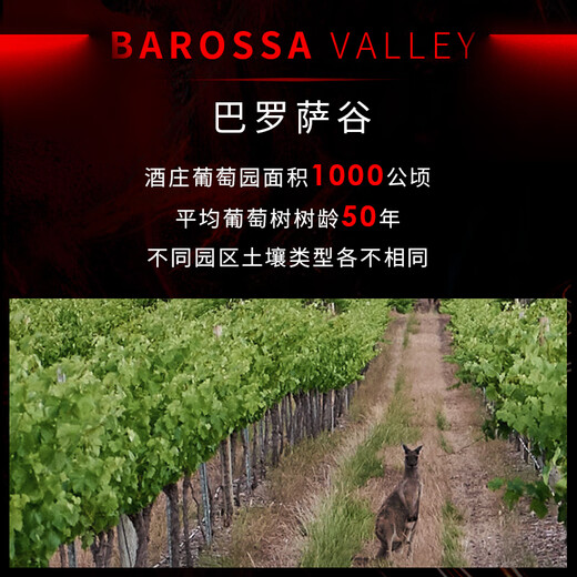 奔富（Penfolds）奔富BIN系列干红葡萄酒澳洲原瓶进口红酒 中粮（无原箱） Bin2单支750ml