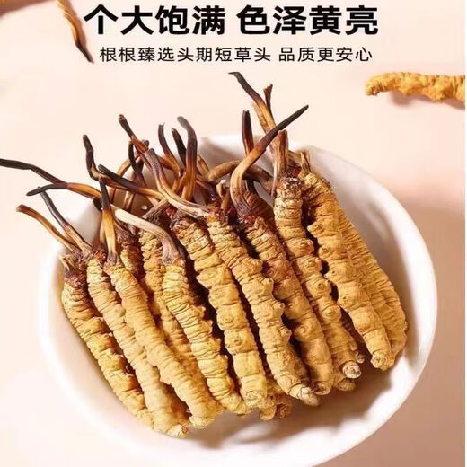 北京同仁堂官方店旗舰【送礼必看】虫草正宗干货冬虫夏草2024年高档礼盒装 2根/克 完整草【20克装】送两根