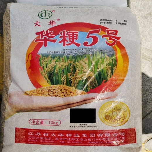Authentic and delicious rice seeds, upland rice seeds, upland rice seeds, fragrant rice, upland rice seeds, glutinous rice seeds, national approved direct-seeded upland rice seeds, dry land large fields, bulk name, simple packaging, 1 Jin Jin equals 0.5 kilograms, 500 grams