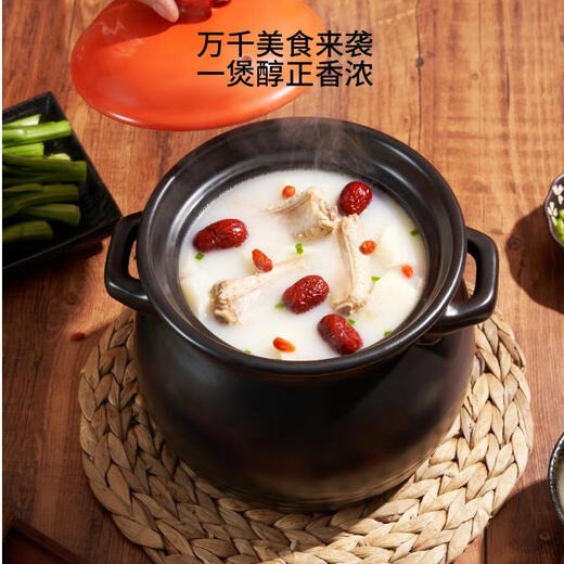 Made in Tokyo, casserole for soup, medicine, porridge and rice, stew pot, health soup pot, open fire use, sea tripe stew casserole 3.8L