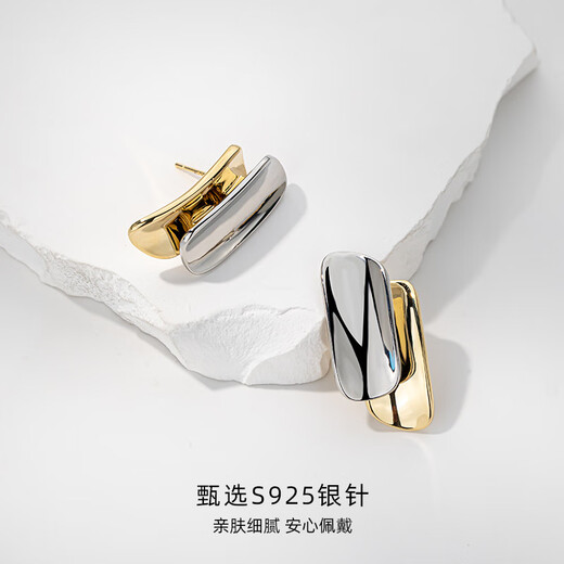 Qlady niche unique earrings for women 2025 new temperament high-end earrings for women silver needle light luxury earrings birthday gift