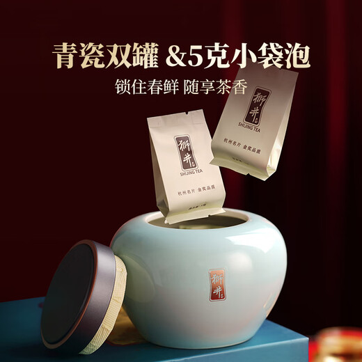 West Lake Shijing Mingqian Special Longjing 2025 Neue Teenbox 250g Grüne Tee High-End Festival Geschenk für Älteste