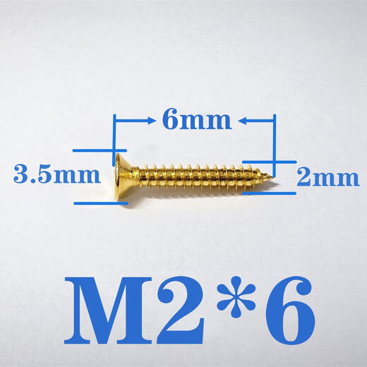 XMSJ Gold 304 Tornillo de acero inoxidable Countersunk Autocatado Autoducto Extendido Cabeza plana Tornillo de madera M2M3M4M5M6 M3*12200 Piezas