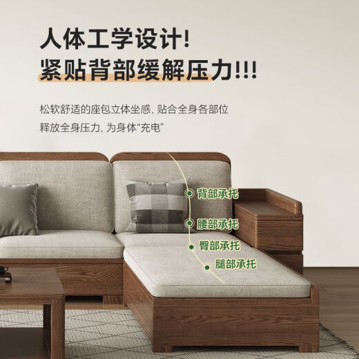 帝虹新中式实木沙发客厅侘寂风日式现代简约三人位直排实木沙发组合 电视柜CH655