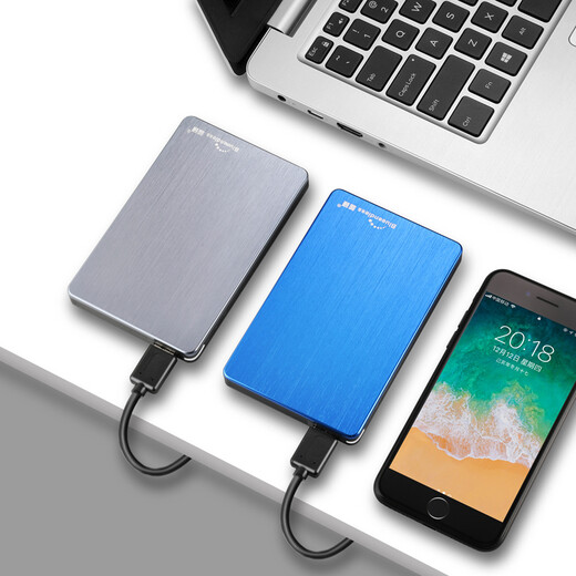 BLUEENDLESS USB3.0 mobile Festplatte 2,5-Zoll-Android-Telefon Typ-C-TV tragbare Speicherfestplatte grau 500 GB