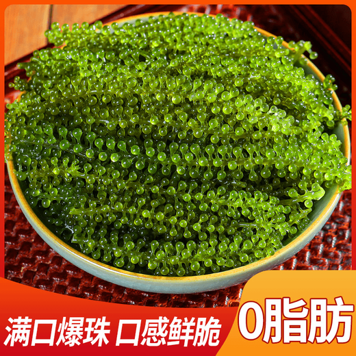 盐渍海葡萄泡发食用 儿童海藻菜海洋蔬菜海草 海葡萄100g*3袋【送芥末酱油】