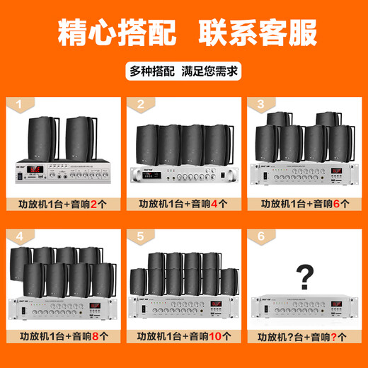 先科（SAST）DW40壁挂式音响音箱喇叭 40W无源需连功放机店铺商用工程会议室家用餐厅公共广播背景音乐 4英寸	