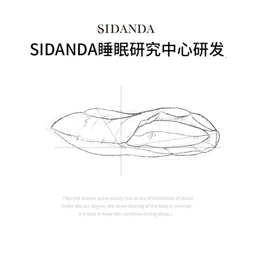 Sidanda Kissen Kern Deutsch Red Dot Award Awvical Wirbel Kissen Antibakteriell 95% Gans Down -Kissen plus Hochkissen 48*74 cm