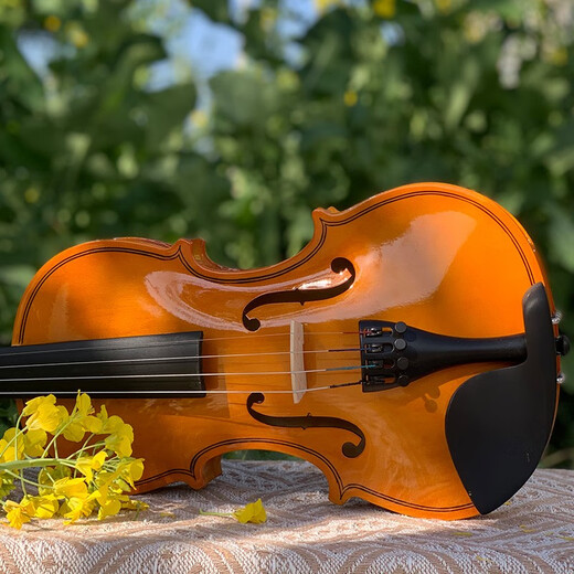 Lesmande L001A Beginner's Violin Beginner's Violin for Beginners Children and Adults High Cost-Effective Western Orchestral Instrument 4/4 Height 155 220cm Select