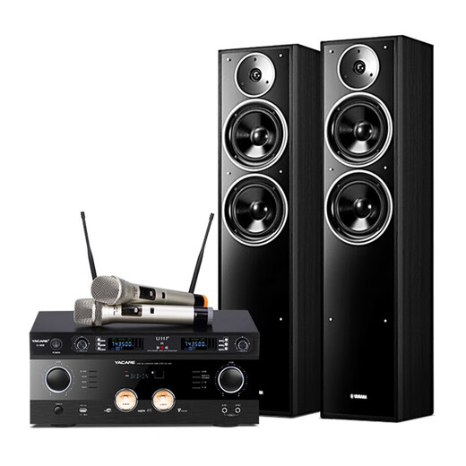 Yamaha NS-F71 Home KTV Audio Karaoke-Maschine Home K-Song Integrated High Power Bluetooth Verstärker Boden
