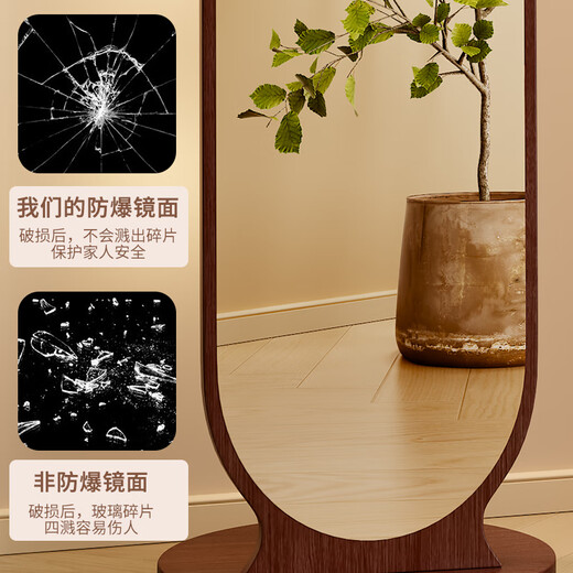 驰百伦穿衣镜家用全身镜卧室可旋转落地镜子多功能置物一体试衣镜