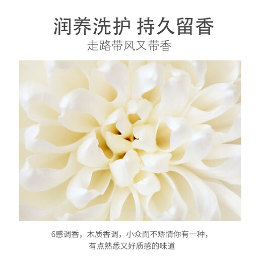 ASAKA Shampoo Amino Acid Shampoo Nourishing Hair Conditioner Men and Women Shampoo Cream Torreya Shampoo 500g Smoothes Frizz