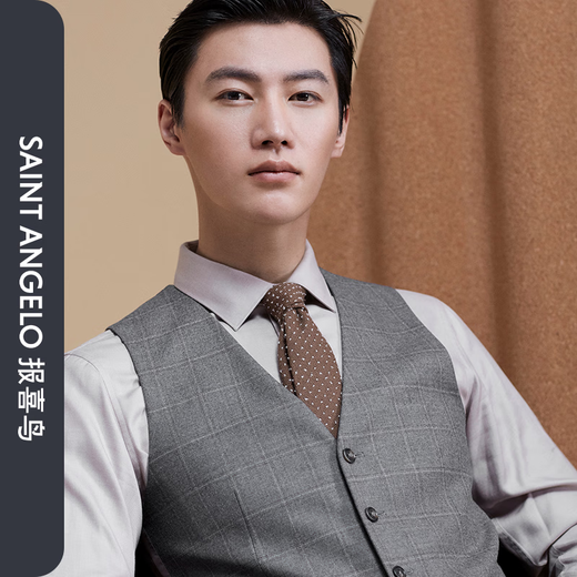 Angel Bird Men's Suit (Vest) Casual Plaid Single-breasted Collarless Vest EBM223232U Gray 48A