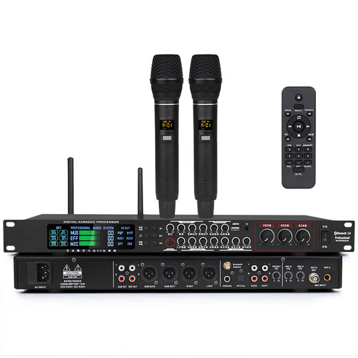 MICGRS professional pre-amp effector with wireless microphone engineering box conference home ktv singing amplifier 5.1 amplifier home theater anti-howling equalization adjustment audio processing EX20M