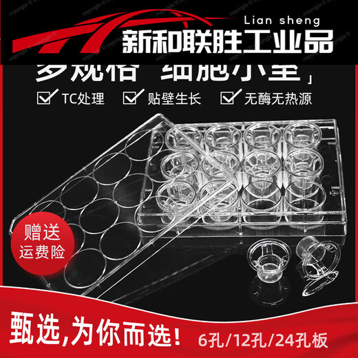 6孔12孔24孔 PC/PET膜细胞小室培养板 transwell 6孔 0.1um 聚脂PET 膜 14102单