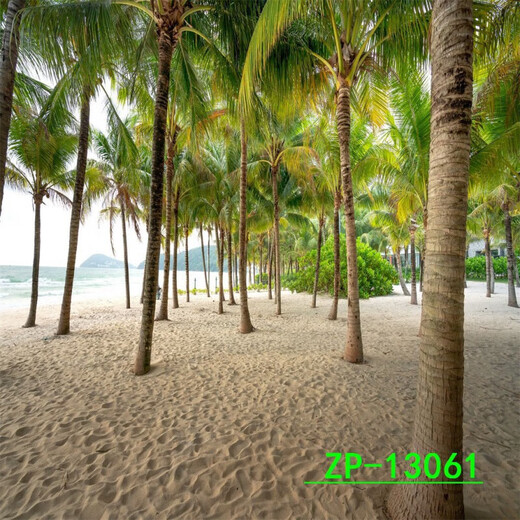 Новый пейзаж Шиджану 3D высокой четкости трехмерный Интернет знаменитость прямая трансляция фон ткань прямая трансляция комната фон стена фото в помещении наружная сцена древний стиль ZP-12609 3 метра в ширину + 2,5 метра в высоту