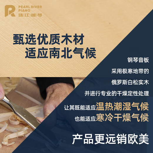 珠江钢琴德国工艺立式钢琴专业演奏121里特米勒钢琴J2S