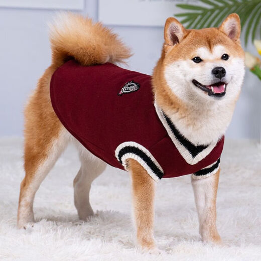 Fashion pet Shiba Inu special clothes Internet celebrity dog ​​autumn knitted sweater for medium and large dogs Corgi French Bulldog Bichon Frize winter warm khaki S (weight recommendation 3-5 Jin [Jin equals 0.5 kg])